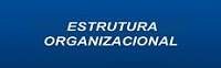 Estrutura Organizacional