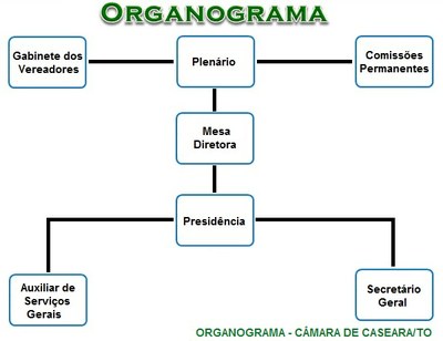 Organograma - Câmara de Caseara.jpg